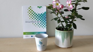 SECAI Jahresbericht